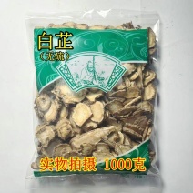 安国中药材批发新货无硫白芷原色白芷1000克包邮
