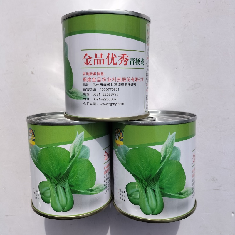 金品优秀青梗菜种子耐热青菜种籽鸡毛菜种籽小青菜籽