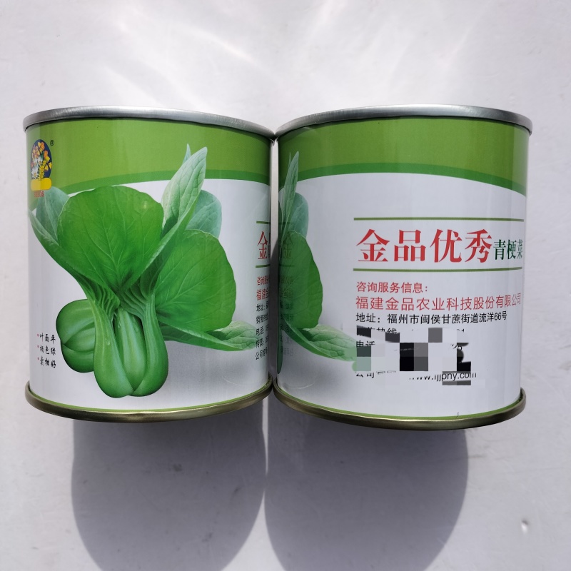 金品优秀青梗菜种子耐热青菜种籽鸡毛菜种籽小青菜籽