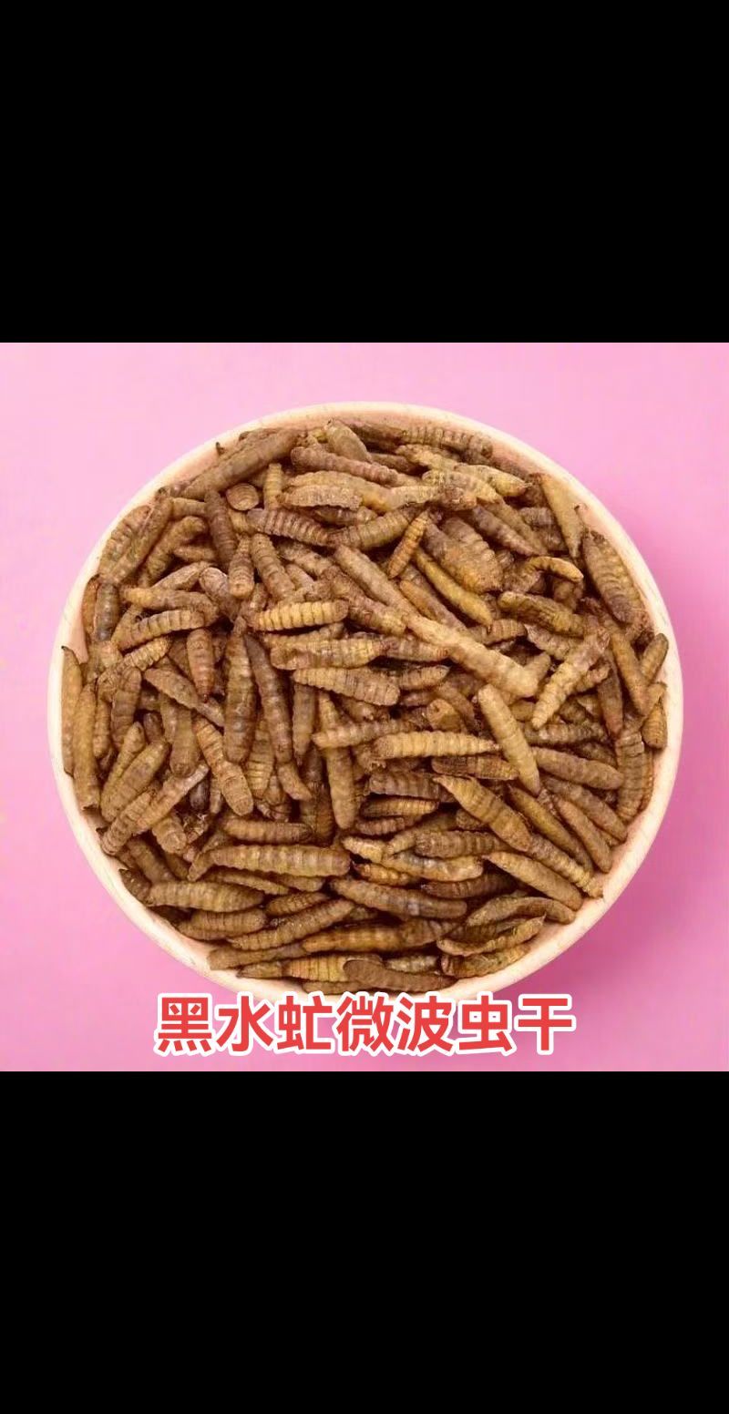 黑水虻，高蛋白，吸收好，动物适口性好，能增强抗病能力