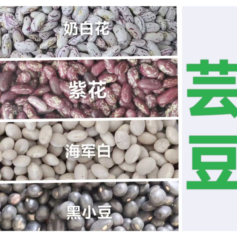 紫花芸豆奶白花芸豆黑芸豆海军白芸芸豆批发营养丰富老幼皆宜