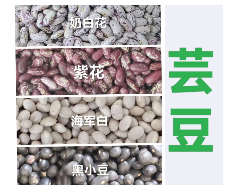 奶白花、紫花、黑小豆、海军白精品各种芸豆快递一件代发