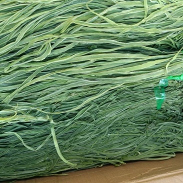 精品贡菜
