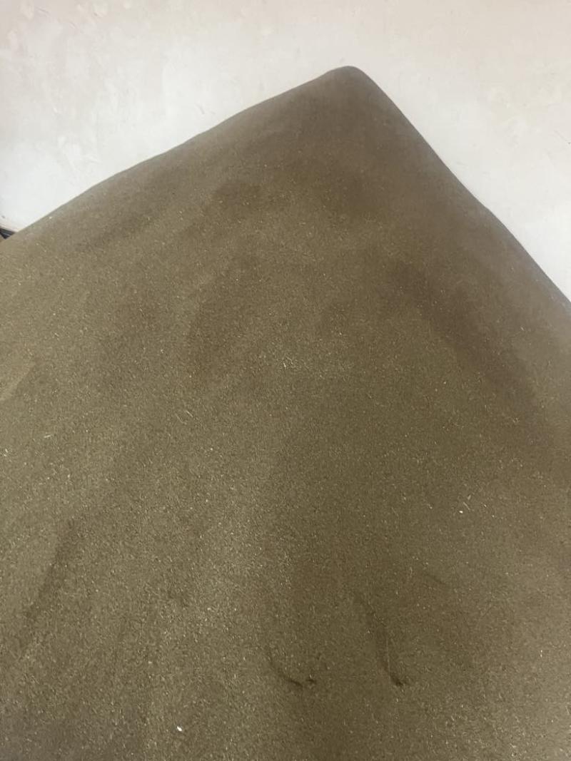柴胡种子