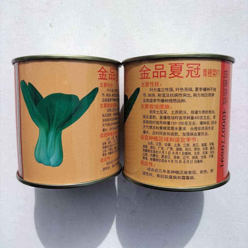金品夏冠青梗菜种籽耐热耐湿上海青种子四季小油菜籽种蔬菜种