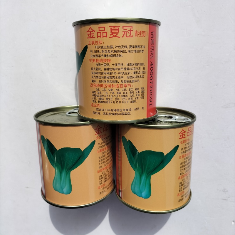 金品夏冠青梗菜种籽耐热耐湿上海青种子四季小油菜籽种蔬菜种