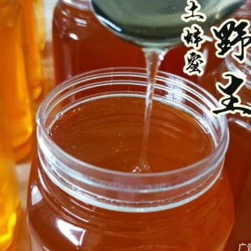 云南普洱土蜂蜜《支持检测》