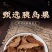 胰岛果片茶源头工厂厂家直销批发原产地
