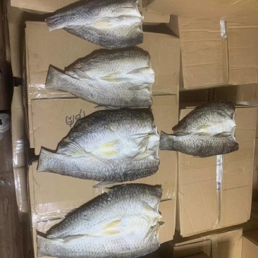 草鱼干草鱼片草鱼块风干草鱼干开边草鱼片皖鱼干