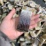 草鱼块草鱼干皖鱼块风干草鱼干档口食堂电商地摊赶集批发