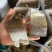 草鱼块草鱼干皖鱼块风干草鱼干档口食堂电商地摊赶集批发