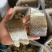 草鱼块草鱼干皖鱼块风干草鱼干档口食堂电商地摊赶集批发