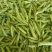 新野精品豌豆荚大量上市，中豌6号9号长寿仁质量好颗粒饱满