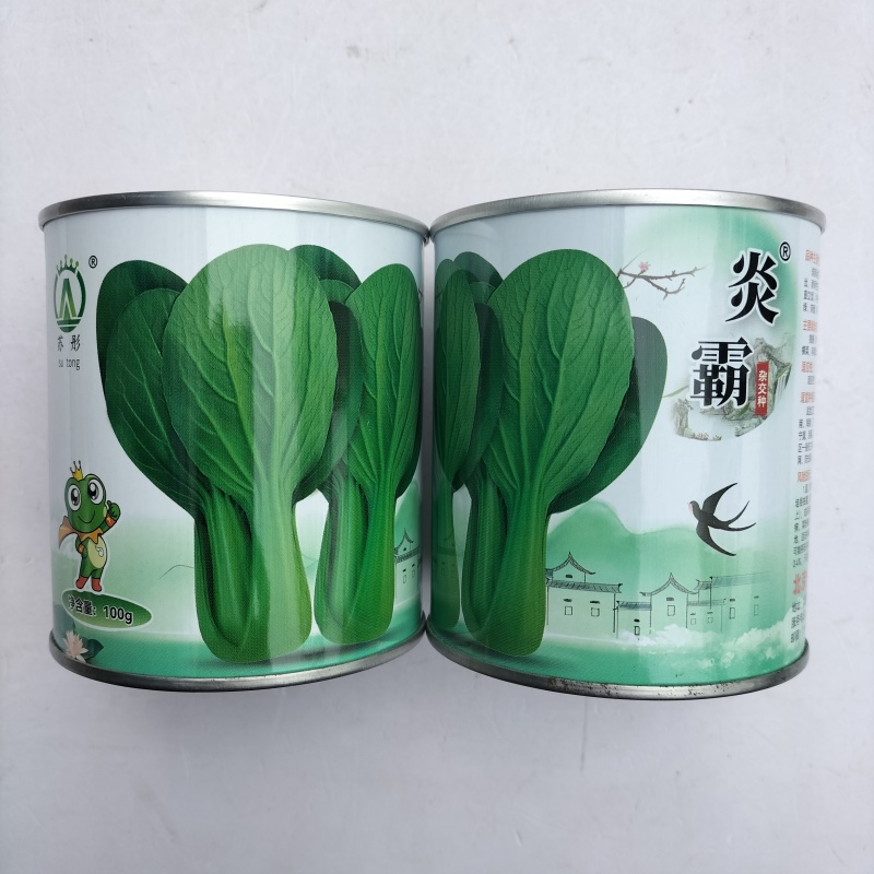 炎霸青梗菜种子耐热耐雨青梗菜种籽夏秋季耐高温不拔节上海青