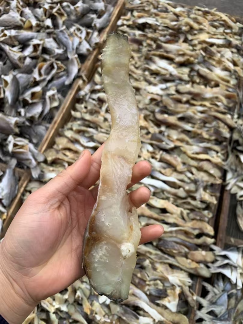 草鱼条皖鱼条草鱼鱼腩条草鱼干风干草鱼