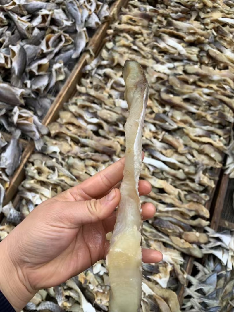 草鱼条皖鱼条草鱼鱼腩条草鱼干风干草鱼