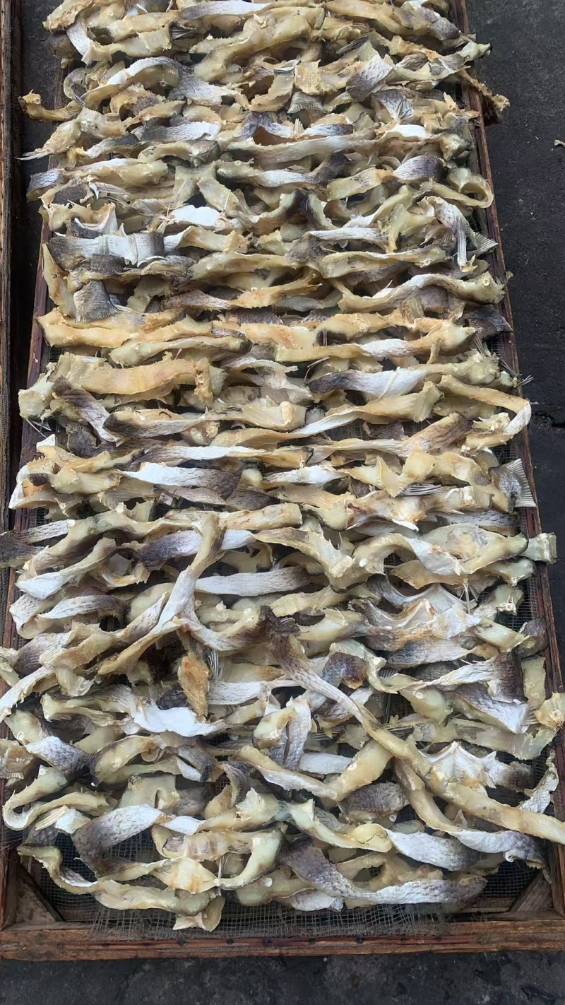 草鱼条皖鱼条草鱼鱼腩条草鱼干风干草鱼