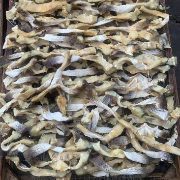 草鱼条皖鱼条草鱼鱼腩条草鱼干风干草鱼