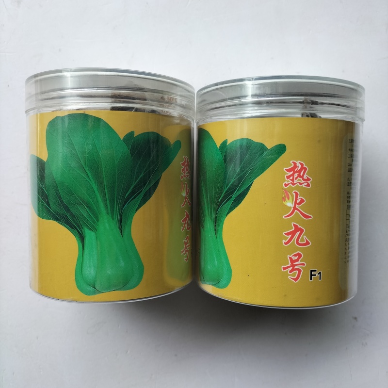 热火九号青菜种子杂交一代耐热耐湿直立束腰青梗菜籽春夏秋蔬