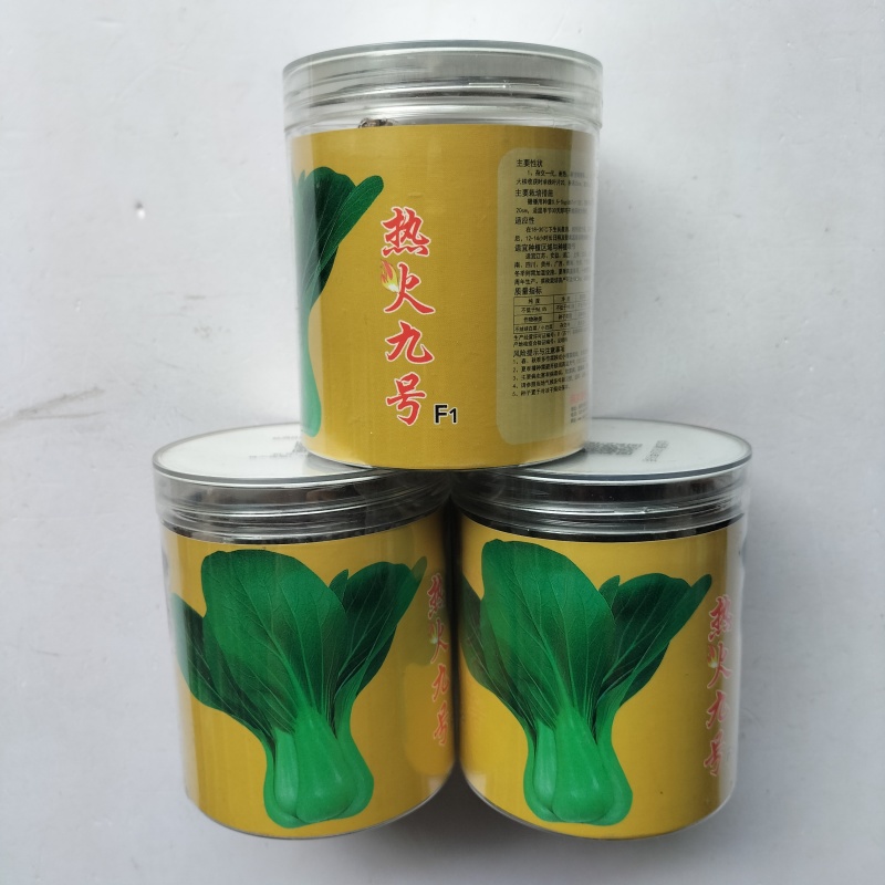 热火九号青菜种子杂交一代耐热耐湿直立束腰青梗菜籽春夏秋蔬
