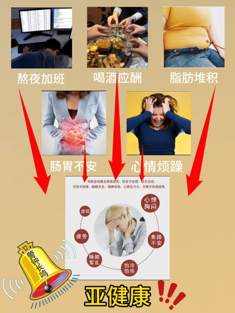 代代花上班解压茶养生茶节日条理茶决明子茶组合花茶批发