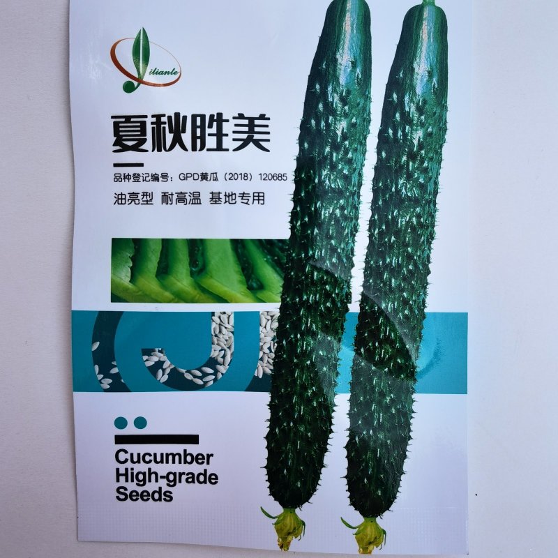 夏秋胜美油亮型黄瓜种子高产耐高温绿瓤短把密刺抗病强