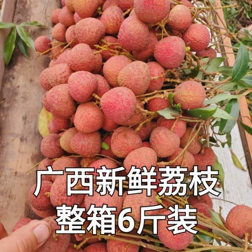 黑叶荔枝妃子笑荔枝桂花香荔枝新鲜上市支持电商代发支持批发