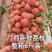 黑叶荔枝妃子笑荔枝桂花香荔枝新鲜上市支持电商代发支持批发