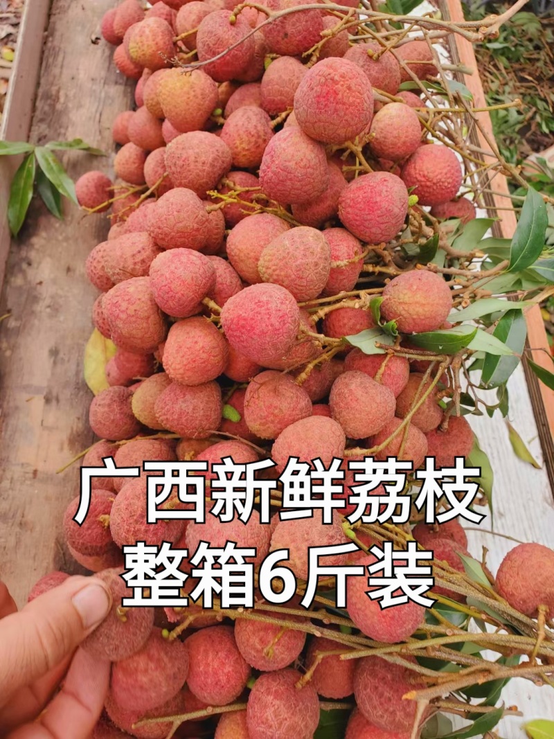 黑叶荔枝妃子笑荔枝桂花香荔枝新鲜上市支持电商代发支持批发