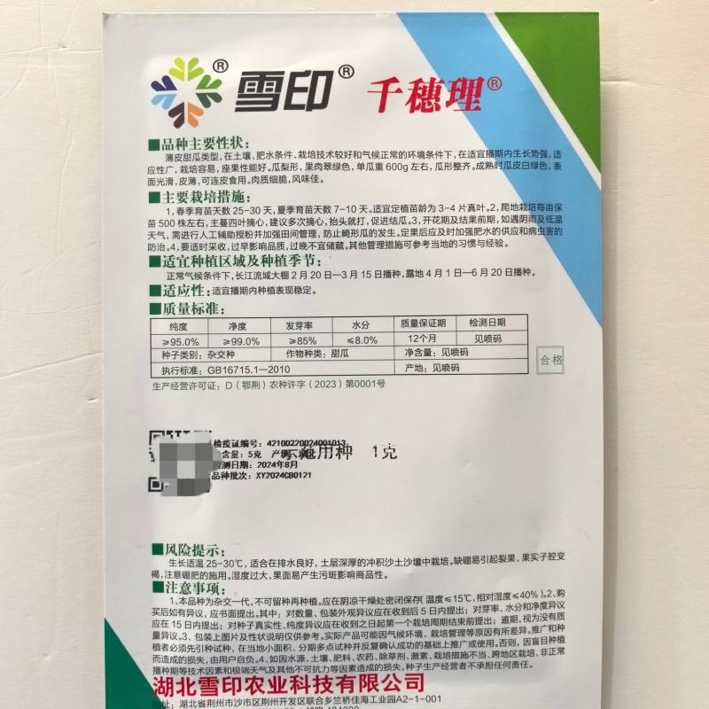 雪印千穗理薄皮甜瓜种子肉脆嫩薄皮青皮青肉香瓜种籽