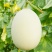 玉如意玉菇甜瓜种子白皮绿肉超甜冰淇淋香玉姑哈密瓜中熟