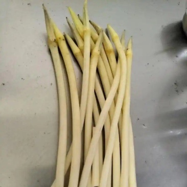 新鲜现采摘藕带，脆，甜，嫩爽口，都是当天采摘大量上市