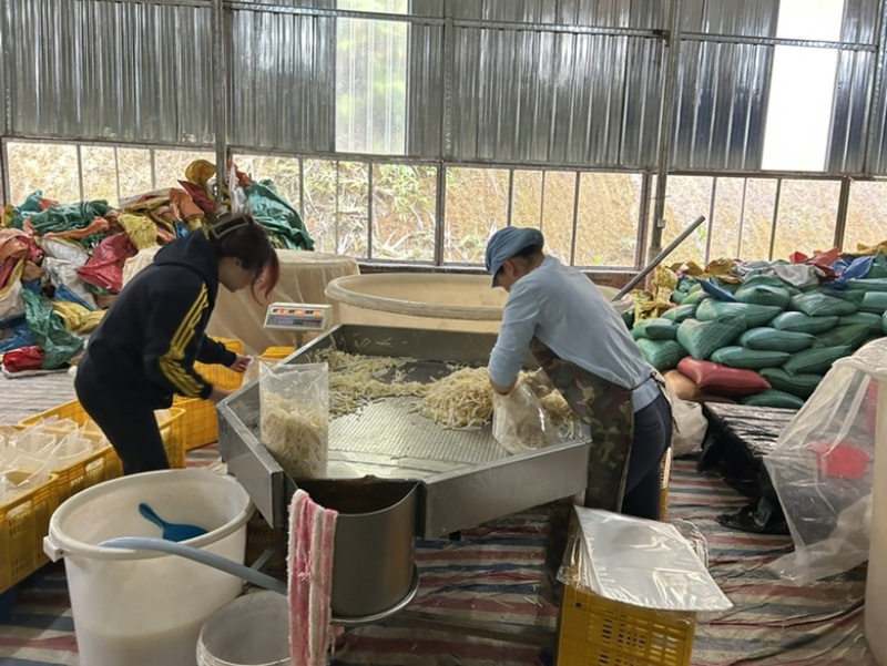广东酸笋，柳州螺蛳粉酸笋，桂林米粉酸笋