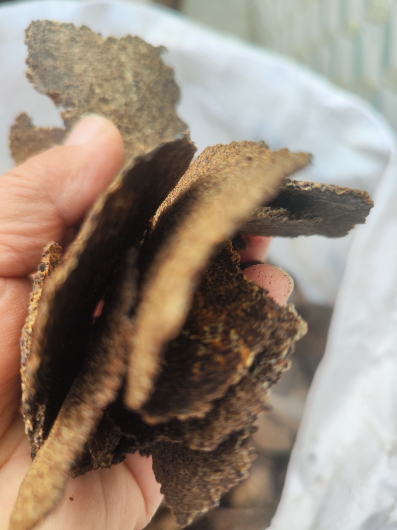 棕籽饼含有机质高天然有机肥