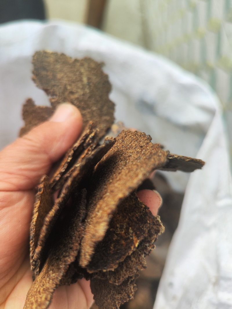 棕籽饼含有机质高天然有机肥
