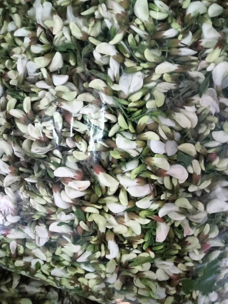 甘肃精品洋槐花货源充足大量上市欢迎联系