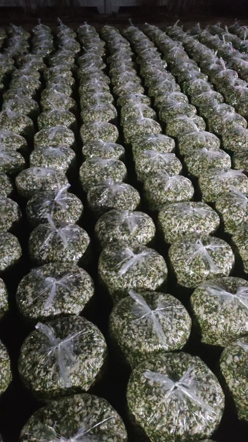 甘肃精品洋槐花货源充足大量上市欢迎联系