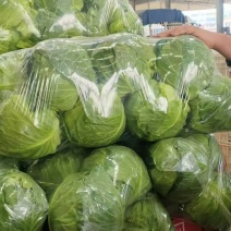 精品甘蓝