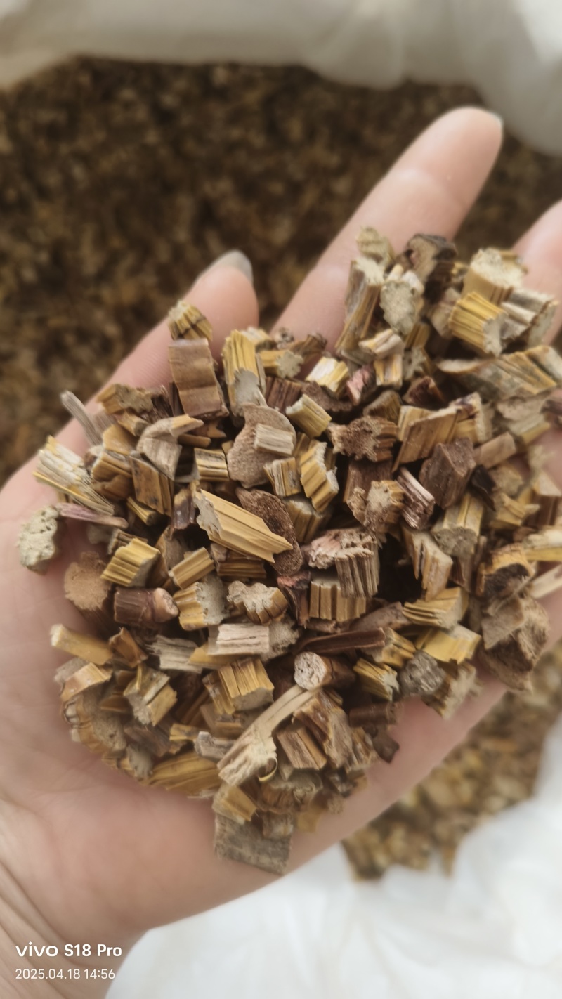 黄草石斛实物拍摄药用石斛无硫磺