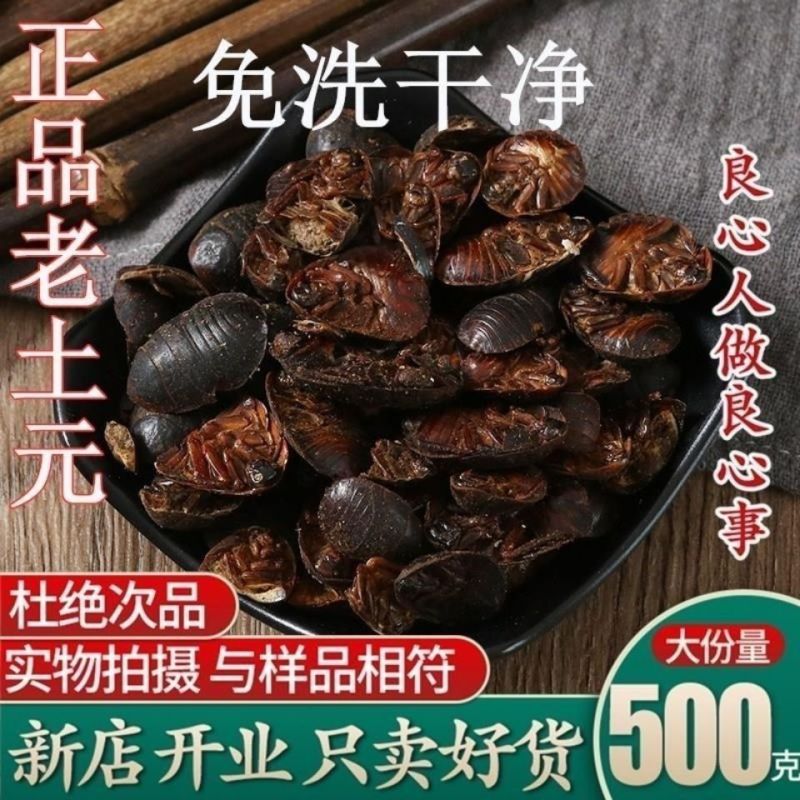 土元