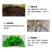 植挥官肥料瓜果蔬菜果树中药快速生根壮苗微生物菌剂养根护根