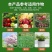 植挥官肥料瓜果蔬菜果树中药快速生根壮苗微生物菌剂养根护根