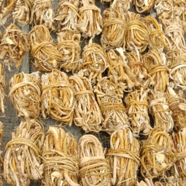 可定做五指毛桃，新货供应鲜货