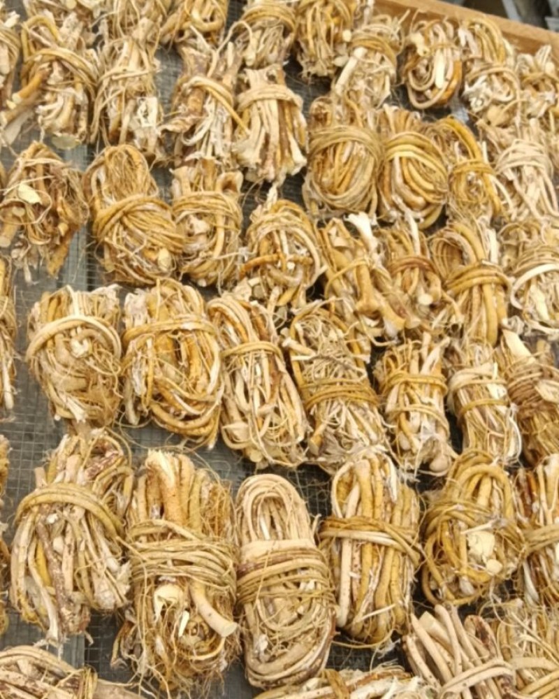 可定做五指毛桃，新货供应鲜货