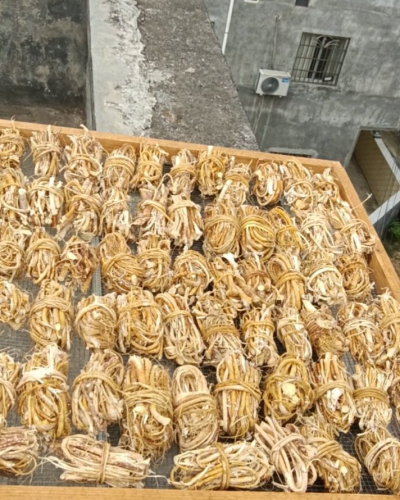 可定做五指毛桃，新货供应鲜货