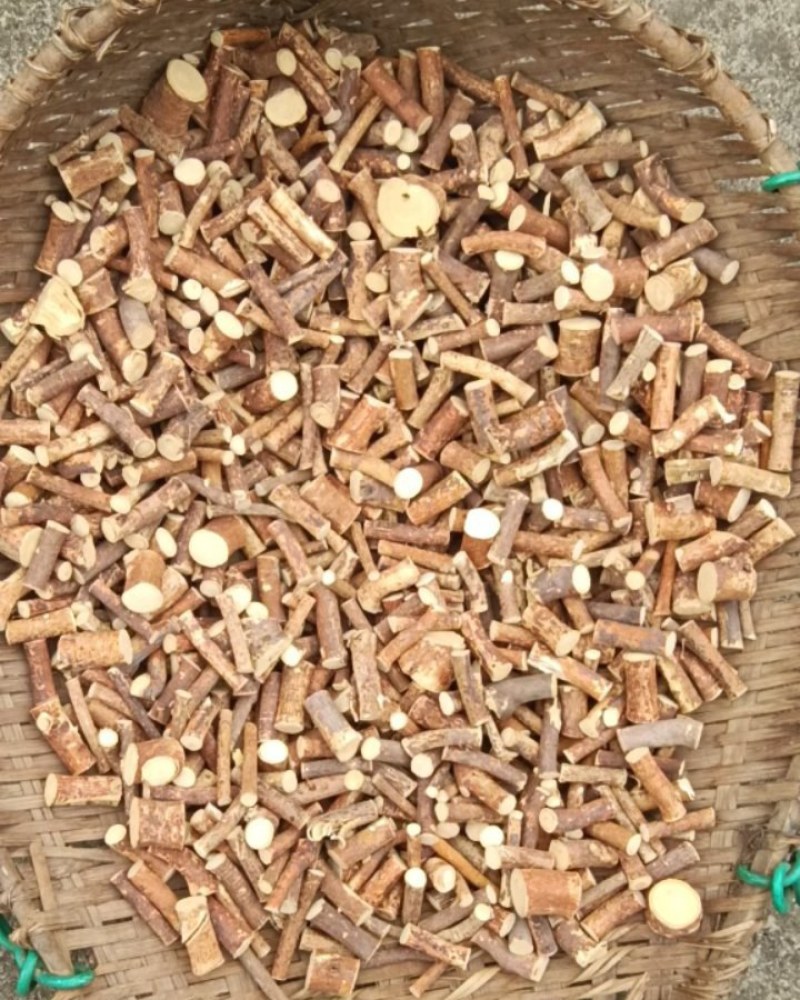 可定做五指毛桃，新货供应鲜货