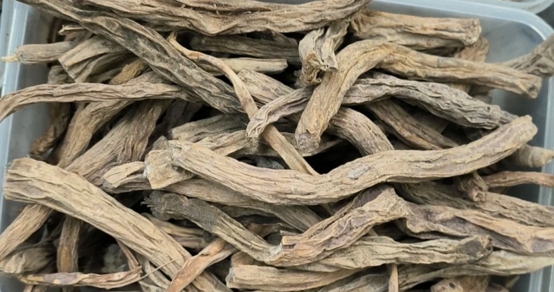 百部又名百条根、百部草、闹虱药、药虱药