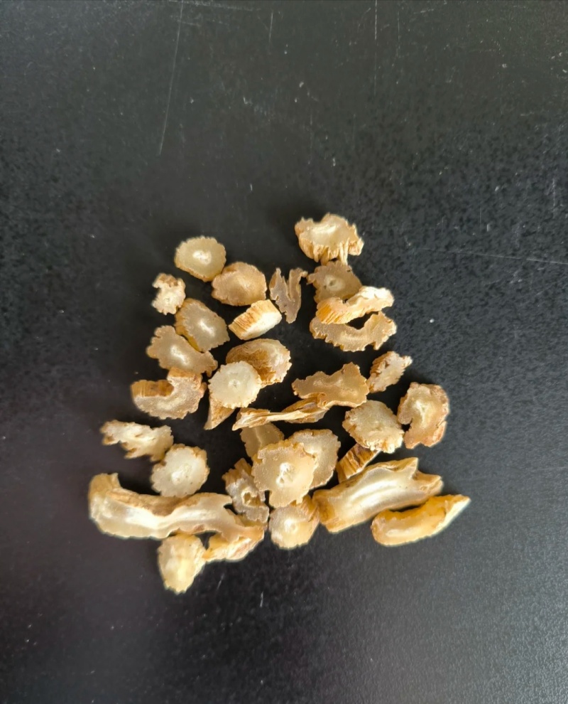 百部又名百条根、百部草、闹虱药、药虱药