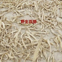 百部又名百条根、百部草、闹虱药、药虱药
