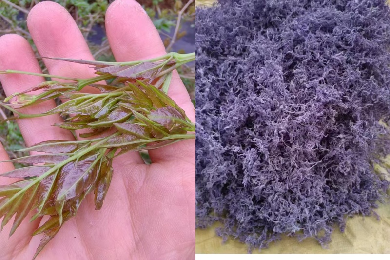 中秋佳节快到了，一杯茶，一份情。我们为您准备了优质的茶叶